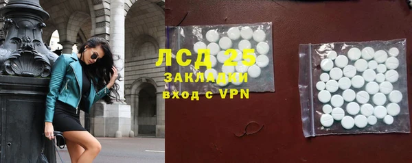 прущие грибы Белоозёрский