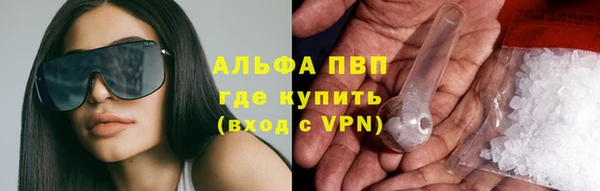 прущие грибы Белоозёрский
