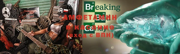 прущие грибы Белоозёрский