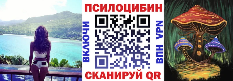 Галлюциногенные грибы MAGIC MUSHROOMS  нарко площадка официальный сайт  Егорьевск 